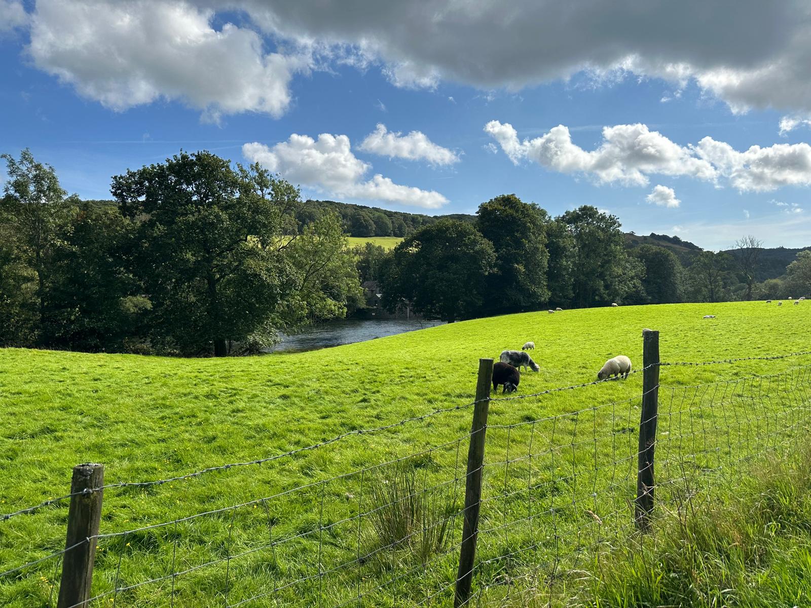 Things to Do Near Backbarrow and Newby Bridge